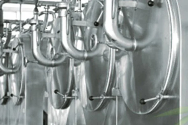 Modified Corn Starch E1442 Hot Swelling