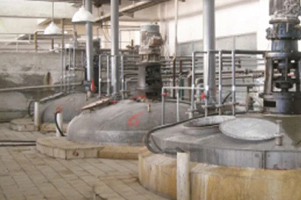 Modified Corn Starch E1442 Hot Swelling